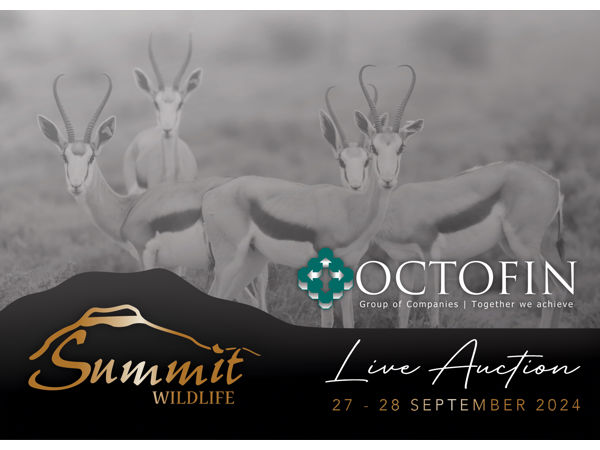 Summit Wildlife Live Auction 2024 (R 11 275 500)